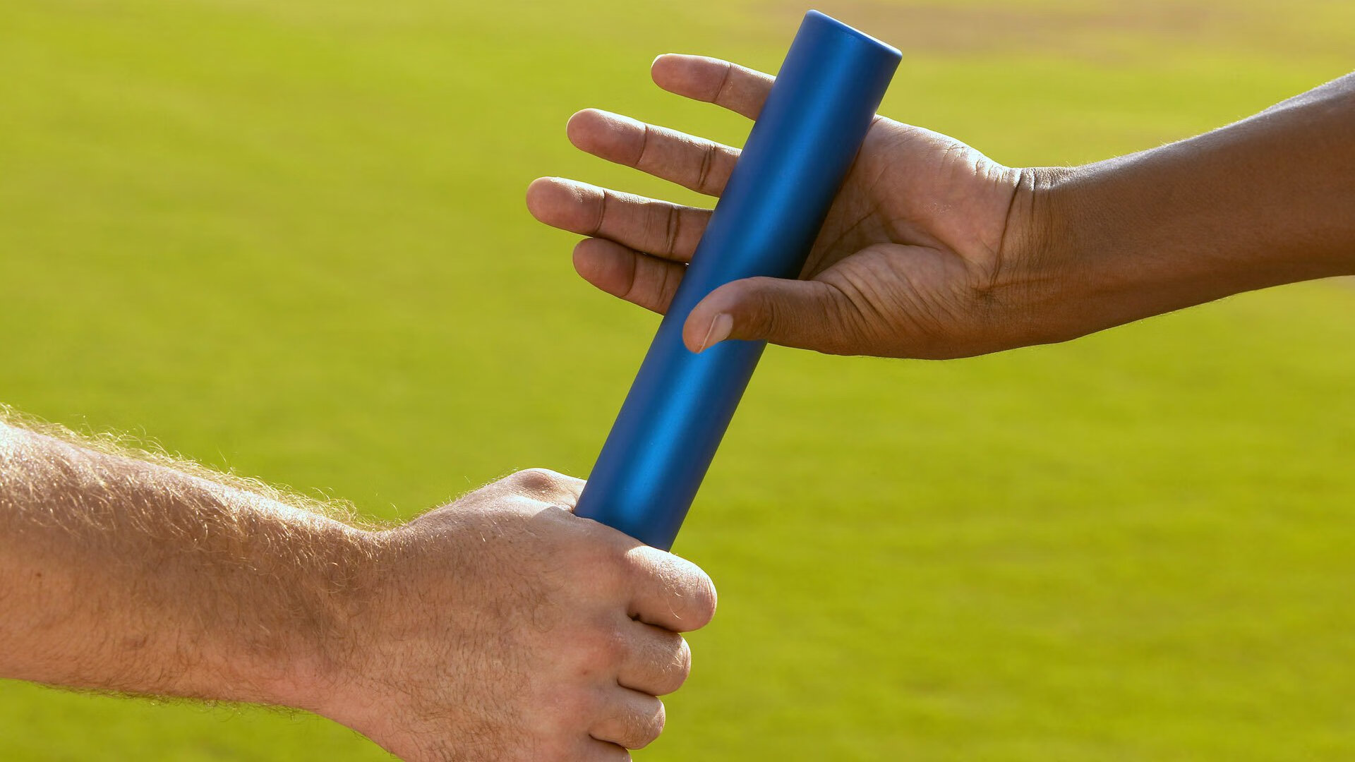 体育赛事环境影响监测与绿色认证机制构建，体育赛事评估机构